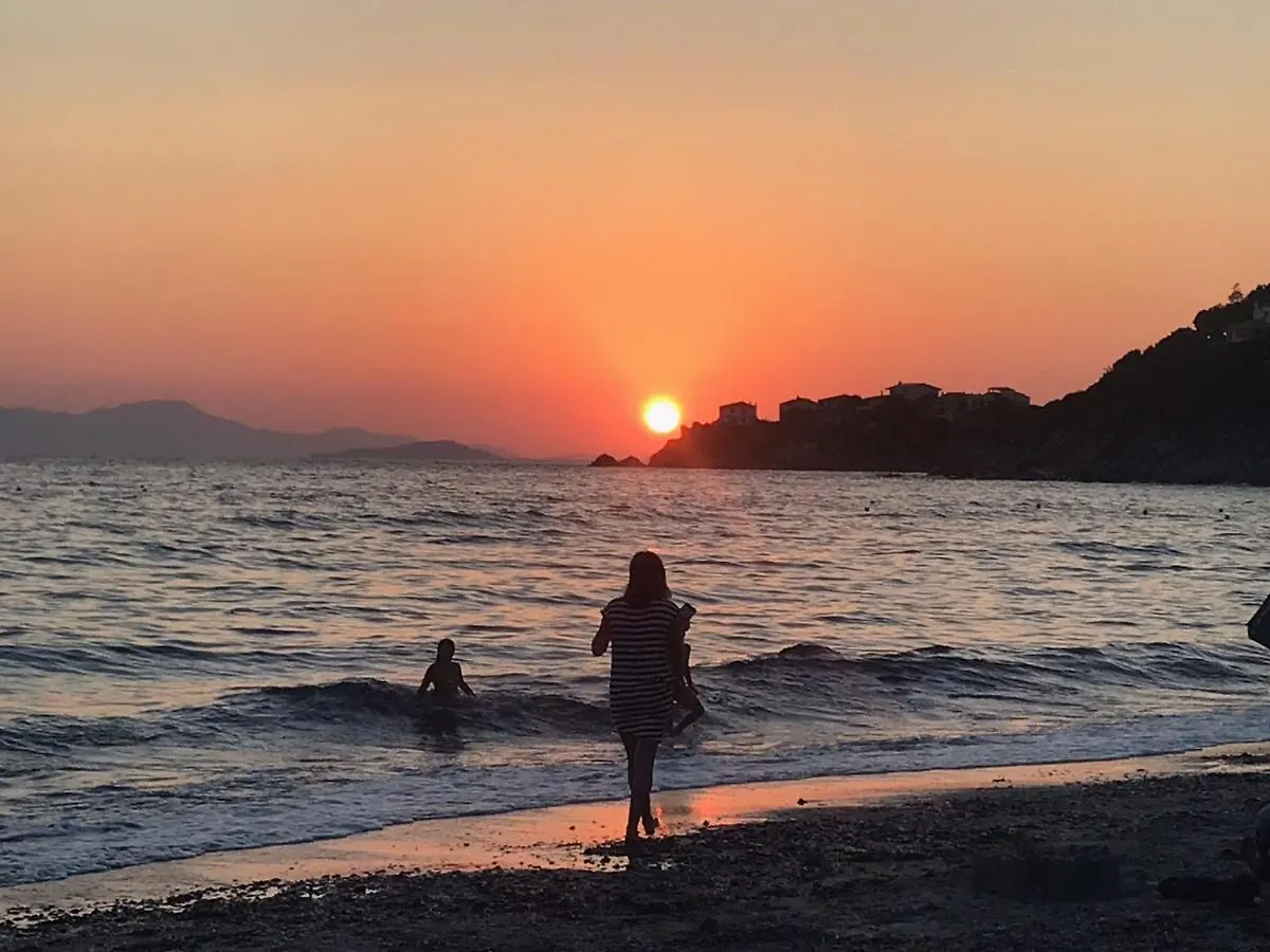 Villa Elisa A Cinque Minuti Dalla Spiaggia Torre delle Stelle
